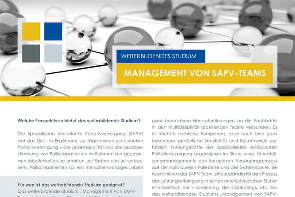 Infos und Studieninhalte (siehe unten PDF)